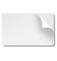 Zebra Premier (PVC) Blank White Cards (104523-010)></a> </div>
							  <p class=